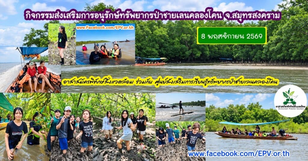 ส่งเสริมการอนุรักษ์ทรัพยากรป่าชายเลนคลองโคน 8 พ.ย. 2569